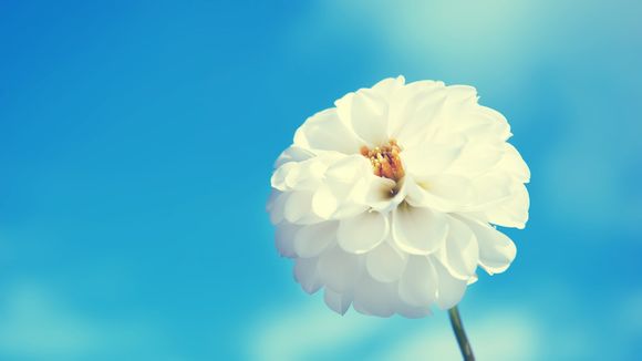 人人车李健毕业于哪里