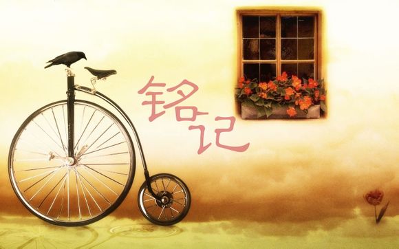 windly怎么读音是什么