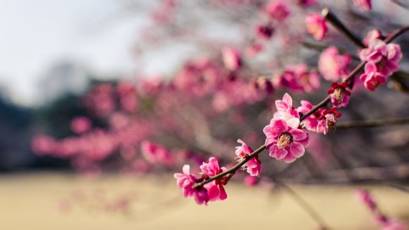 共享单车可以学到什么